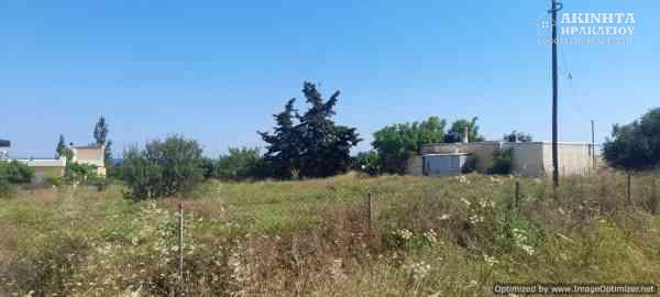 20220606_111742.jpg